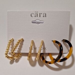 Cara Gold and Tortoise Hoop Earrings Set